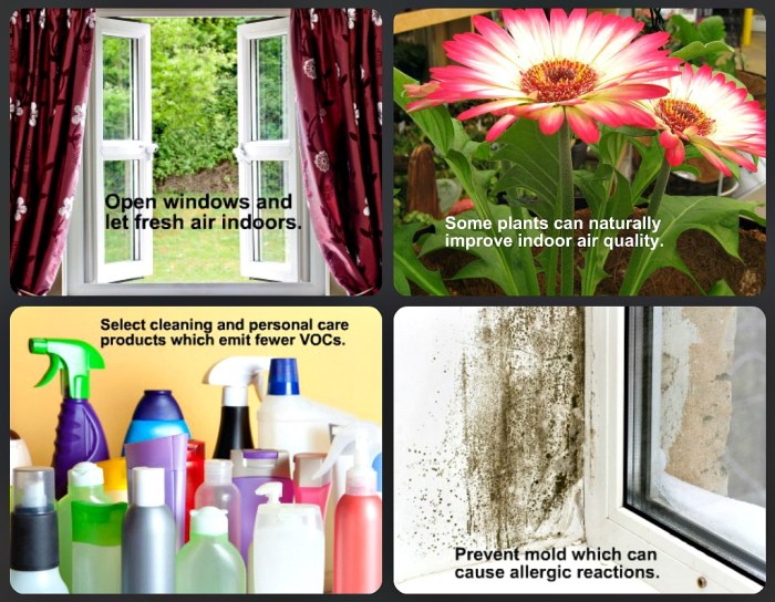 Healthier Indoor Air