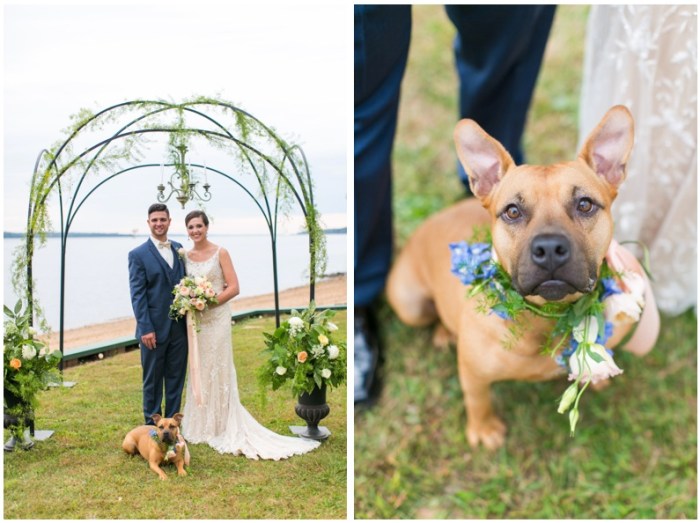 Pet-Centric Design: Integrating Furry Friends into Your Home Decor
